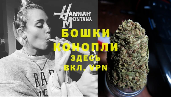 крисы Белокуриха