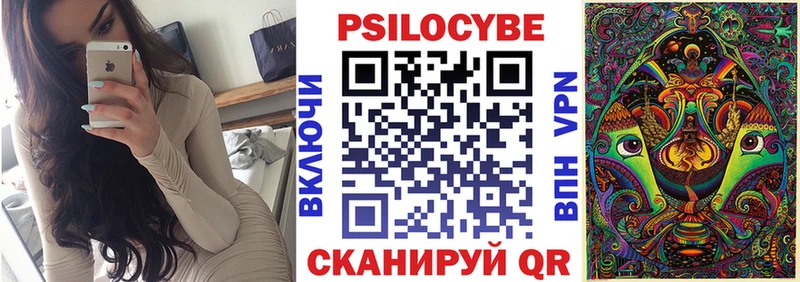 наркотики  Иркутск  Псилоцибиновые грибы Psilocybine cubensis 